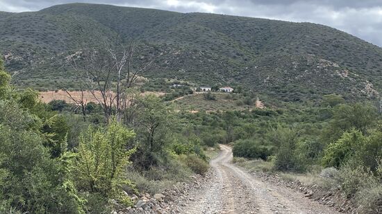 Dort hinten ist die Farm!!
Hier leben Carmen und Dario seit 1993–die Gästevermietung kam erst 2002 dazu
Die Gäste werden in original Rondavel-Hütten oder in Gästezimmern untergebracht.
Die Übernachtung kostet 400 Rand p.P. Inklusive Frühstück in der Rondavel-Hütte - das sind 25 Euro-
Die Hütten bieten viel Platz, haben Strom, ein Bad mit Dusche und warmen Wasser!