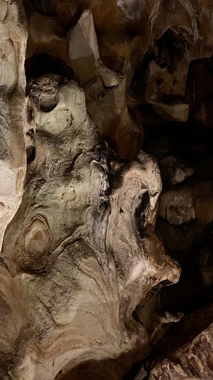 Hier der Kopf des Teufels