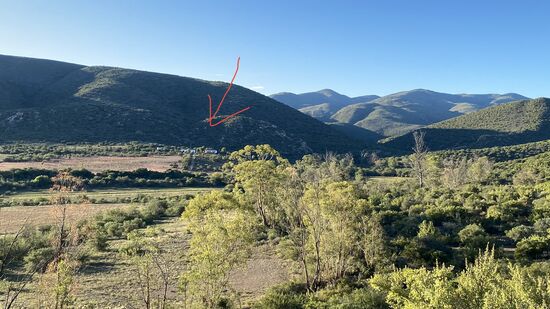 Es geht wieder zurück! Daaaa hinten ist die Straußenfarm!!
Auch heute grillen wir wieder. Außer uns ist noch eine 5-köpfige Familie aus der Schweiz angereist. Wir berichten begeistert von den Erdmännchen, sodass sie sich auch dafür anmelden