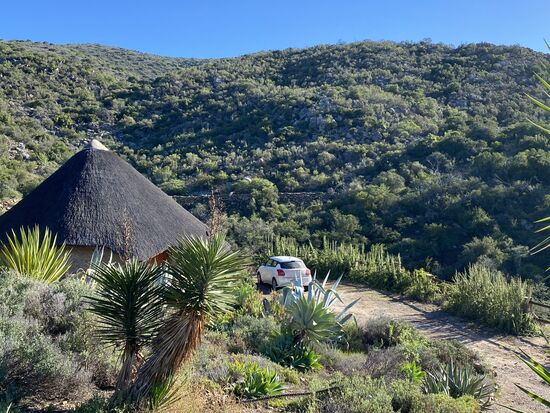 Das ist unsere Unterkunft: das afrikanische Rondavel-ideal für 2 Personen
Kostet: 400 Rand p.P. Inklusive Frühstück (ca 25 Euro)