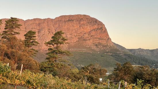 …und da hat er recht! Hinten am Berg der Schriftzug: „Franschhoek“