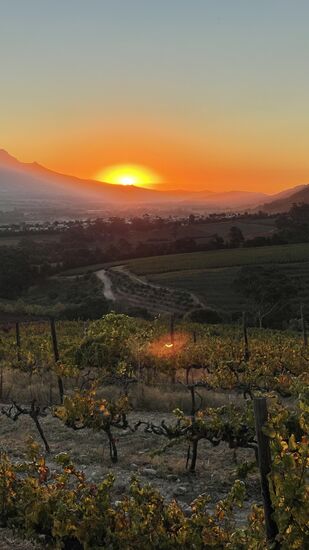 Das Essen weniger—es ist nichts Besonderes, aber sehr teuer!