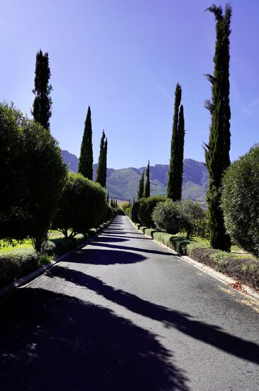 Weiter gehts zum nächsten Weingut „Mullineux Leeu“ dieses gehört einem indischen Multimilliadär