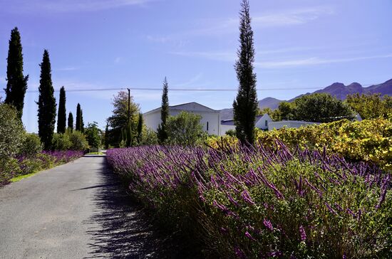 Die ganze Gegend hier erinnert an die Provence in Frankreich—wieder überhaupt nicht an Afrika!!