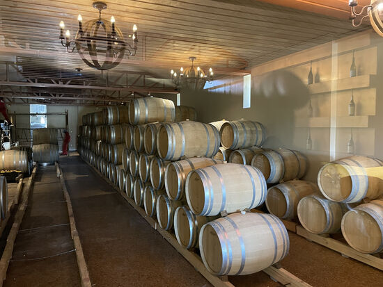 Beim Tasting werden wir erwartet und hier bekommen wir besonders edle Weine serviert—aber auch zu einem akzeptablen Preis