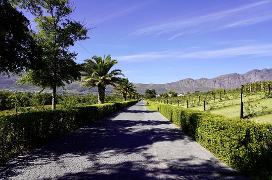 Hier kaufen wir sogar eine Flasche von dem süßen edlen Dessertwein—Thomas kann nicht widerstehen