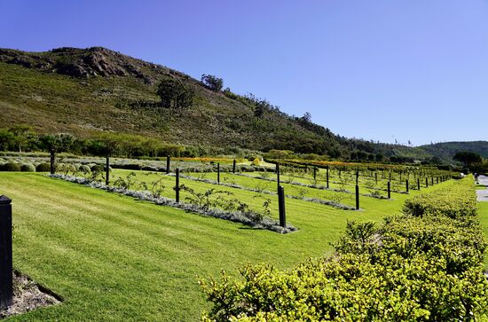 Sooooo penibel und akkurat alles!