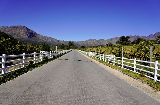 Auf zum nächsten und letzten Weingut—wir bekommen auch etwas Hunger
