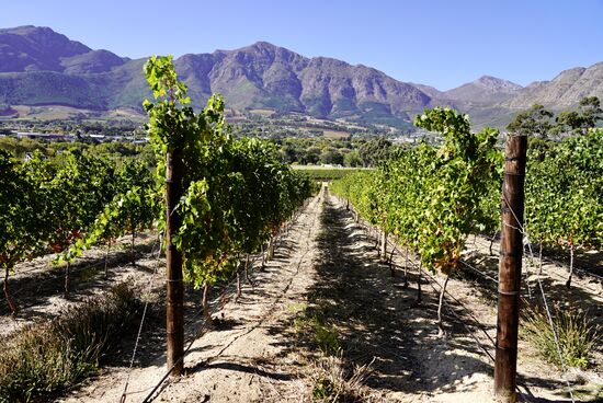 Hier sieht es etwas natürlicher aus-