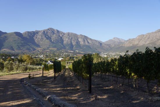 Nun haben wir 2km Heimweg