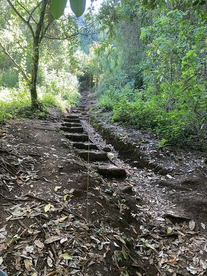 Dazu fahren wir nur wenige Meter bis zur Travel-Agency, wo wir wieder William treffen—auf gehts!