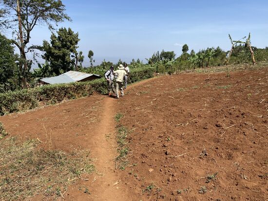 Auch wir machen uns bald auf den Rückweg