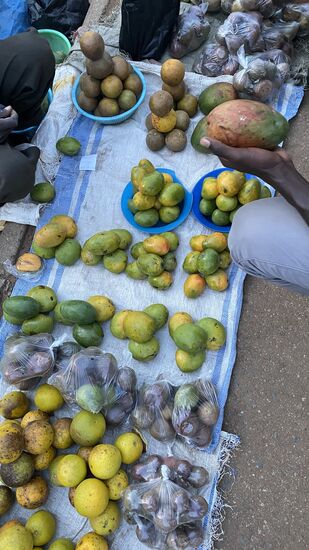 Viele , viele Mangos für Christine…