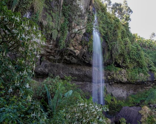 Es gibt insgesamt 3 Sipi- Wasserfälle am „Mount Elgon“—dieser ist mit 65Metern der mittlere