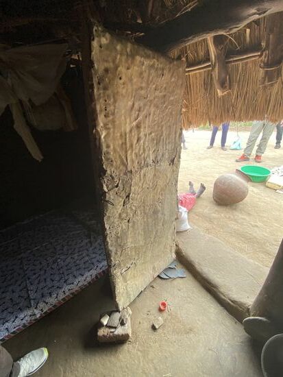 Die Tür ist eine sehr interessante Konstruktion—ich rätsele was es für Material ist...