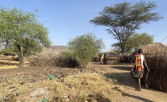 Wir gehen weiter durch das Dorf und erfahren, dass die Männer mit dem Vieh vor Monaten Richtung Westen gezogen sind. Hier gibt es zwar Wasser, aber es reicht nicht für das Vieh. Weiter westlich gibt es noch Wasser und Futter. Häufig kommt es vor, dass einige Männer nicht zurückkehren. Die Hirten werden überfallen, getötet und das Vieh wird gestohlen. Von wem? Von anderen Stämmen der Karamajong beziehungsweise anderen Nomaden aus Kenia oder dem Sudan. Viehdiebstahl steht auf der Tagesordnung. Die Karamajong glauben, ihnen gehören alle Rinder. Deshalb nehmen sie einfach, was ihnen in die Hände fällt.
Und da so viele Männer nicht zurückkehren, erklärt sich auch, warum die noch lebenden so viele Frauen haben. Das Verhältnis Männer zu heiratsfähigen bzw. Willigen Frauen ist 1:5. Über die Heiratsbräuche könnten wir hier sehr lange referieren. Nur so viel: jeder Mann nimmt sich die Frau, die ihm gefällt und die noch keinem anderen Mann gehören. Notfalls mit Gewalt. Sie geht dann zu ihren Eltern und sagt, dass ein Mann sie genommen hat. Dann beginnen die Verhandlungen der Eltern. Je hübscher die Frau ist, desto mehr Rinder muss der Bräutigam an die Eltern der Braut geben. Das können dann auch schon mal 50 oder 100 Rinder sein.
Einigt man sich, steht einer Vermählung nichts im Wege. In der Regel ist die Frau mit dieser Vermählung einverstanden, denn sie will natürlich auch, dass ihre Eltern viele Rinder für sie bekommen und wohlhabend werden.
Der Bräutigam muss seine Männlichkeit und Stärke noch unter Beweis stellen. Hierzu gehören verschiedene Rituale, unter anderem das Bemalen der Haut, wie auch das Herausreißen des Zungenbändchen. Nur wenn der junge Karamajong alle Aufgaben besteht, wird geheiratet.
