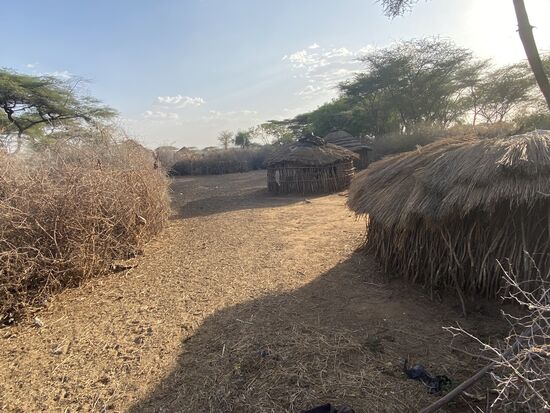 Hier ein Teil des Platzes, auf dem die Rinder gehalten werden, wenn sie da sind.