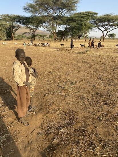 Hier fragt der kleine Bruder den großen Bruder, ob er alle Tiere zurück gebracht habe. Das hat er wohl, so wie unser Guide erfahren hat.