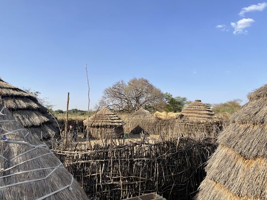 Hier erkennt man sehr deutlich die Trennung zum Nachbarn hin. Auch hier schützen die Zäune.