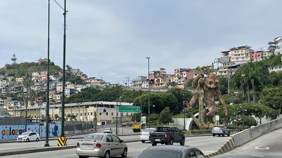Er hält kurz auf der Schnellstraße damit wir ein Foto vom Affen und der Altstadt machen können