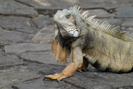 …Glückmomente pur…