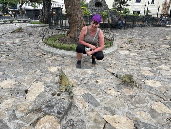 So schön es mit den Leguanen ist: sie hinterlassen ihre Ausscheidungen auf den Wegen. Und als wir unter einem Baum hergehen, tropft es plötzlich von oben und wir suchen schnellstens das Weite 