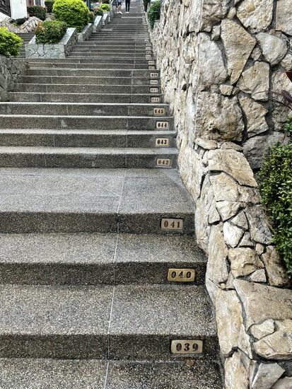 Und dann geht es die 444  Stufen hoch. Das Ziel ist der alte Leuchtturm von Guayaquil. Die Stadt liegt zwar nicht am Meer aber am Fluß Guayas. Hier in der Stadt fließen zwei Flüsse ineinander: Rio Daule und Rio Babahoyo und sie bilden den Guayas. Guayaquil ist einer der bedeutendsten Häfen Ecuadors und Südamerikas.