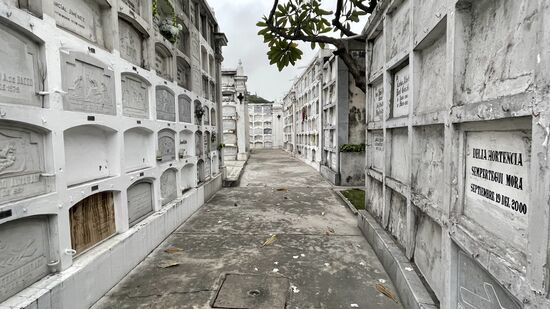 Leicht verirrt man sich, aber das ist auch gut. Wir treffen nämlich auf einen Polizisten der uns zum Verlassen des Friedhofs auffordert. Diskussion mit Fabrizio hilft nur bedingt. Wir schlagen uns dann einfach ein wenig abseits hinter einige Gräberreihen und warten, dass der Polizist sich entfernt.