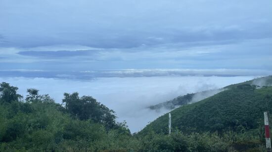 Auf dem Weg nach Cuenca fahren wir durch die ecuadorischen Anden. Und von ca. 6 Meter über Meeresspiegel geht es hoch auf 2.600 Meter.
In den letzten Tagen hat es hier sehr viel geregnet und immer wieder gibt es auf den Strecken Erdrutsche. Vor einigen Tagen war die Strecke noch gesperrt. Jetzt ist sie teilweise wieder geräumt.
Die Gebirge hier sind ursprünglich Meeresgrund und nicht sehr massiv. Daher kommt es immer wieder zu diesen Erdrutschen.