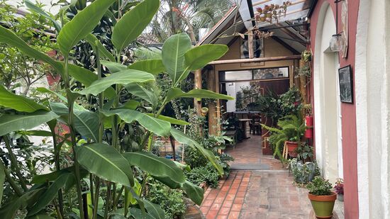 Der Innenhof des Hostels - eine kleine Oase.
Hier treffen wir uns auch mit Claudia. Sie holt uns ab. Endlich lernen wir sie persönlich kennen , aber irgendwie ist unser Zusammentreffen, als wenn wir uns schon ewig kennen.