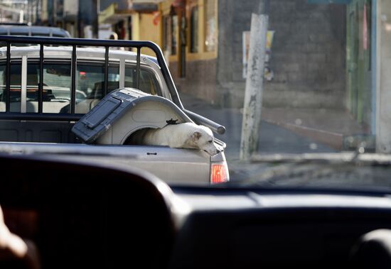Hier wird das Haus gleich mit genommen 