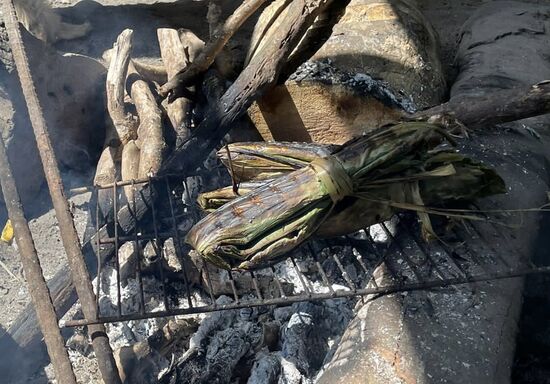 Hier wird in Bananenblättern Hühnchen am offenen Feuer gedünstet