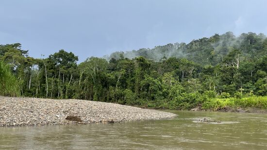 Das Boot setzt oft auf und immer wieder muß William die Stange nehmen und es wieder ins Wasser bringen