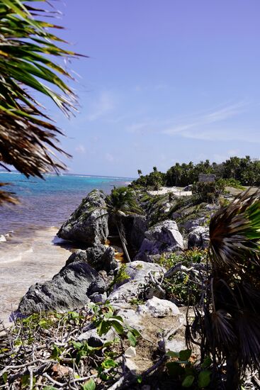 Der Strandzugang ist im Moment gesperrt, da die Schildkröten gerade brüten