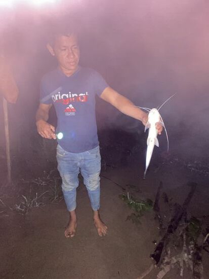 Die „Angel“ lag die ganze Nacht im Wasser und nun hängt tatsächlich noch ein größerer Trap-Fisch dran- den gibts nachher noch zum Frühstück