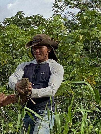 Herrmann auch und reicht es an Delfin weiter—er sprintet los und fängt ein Drittes