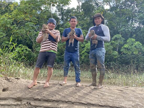 Stolze Beute! Die 3 sind überglücklich. Die Tiere werden in einen Sack gesteckt und ich frage natürlich, was mit ihnen geschieht, ob die etwa auch gegessen werden?
Sie versichern mir, dass die als „Pets“ mit zu der Familie kommen, die wir nun besuchen