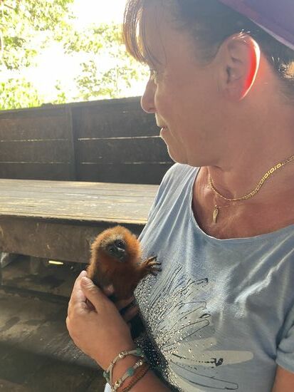 Gleich wird mir dieser süße kleine Affe in die Hand gedrückt—ein Haustier