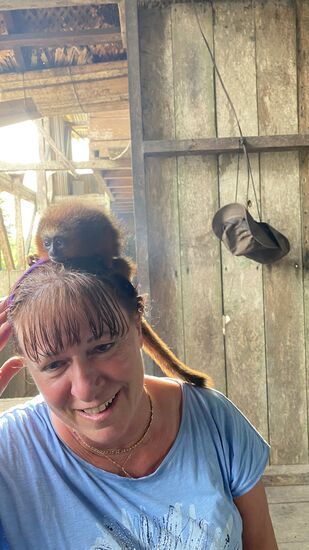 Er zappelt und quiekt—er liebt es , sich auf dem Kopf zu setzen