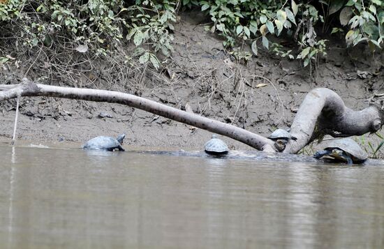 —-und sobald wir näher kommen lassen sie sich fix ins Wasser gleiten