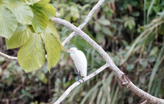Nur selten erwischen wir mal einen schönen Vogel