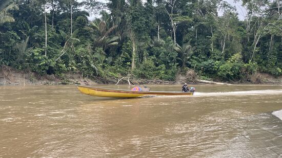 Seht ihr den Papagei auf dem Boot?