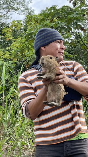 Die Tiere quieken wie verrückt