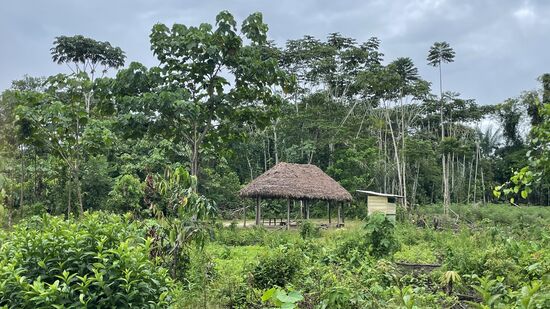 Dann dürfen wir duschen. Dafür müssen wir erstmal ca 100meter laufen. Da hinten befindet sich ein kleines Toilettenhäuschen und eine Außendusche. 4 Kinder zeigen uns den Weg und schauen uns auch ungeniert beim duschen zu.
Keine Ahnung woher das Wasser kommt, ich vermute es ist gesammeltes Regenwasser, denn es sieht „durchsichtig“ aus
Ein kleines Rohr läuft irgendwohin, ich sehe keinen Wasserkanister-keine Ahnung woher das Wasser kommt—evtl doch aus dem Fluß? Es ist jedenfalls kalt.