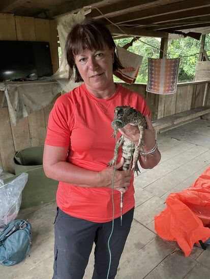 Herrmann und William waren schon früh auf der Jagd und haben einen unten Kaiman erbeutet