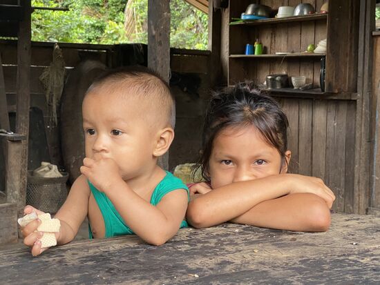 Ich glaube, sie essen den ganzen Tag..