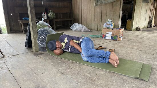 Delfin legt sich noch mal hin—die Zelte sind schon abgebaut