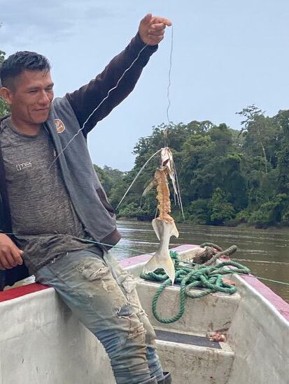 Das wäre ein großer Fisch gewesen. Leider waren die Piranhas gründlich und schneller…
Sauber abgenagt, würde ich sagen…