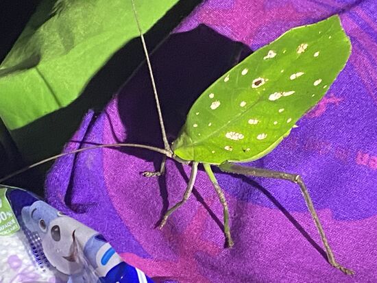 Wir nehmen es mal mit..