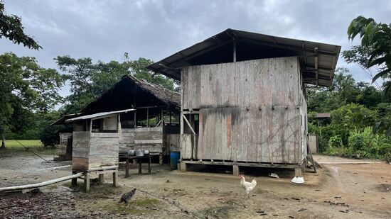 Mal ein paar Fotos von unserer Unterkunft—hier der hintere Bereich mit der einen Toilette—ich bin aber lieber in den Busch gegangen…